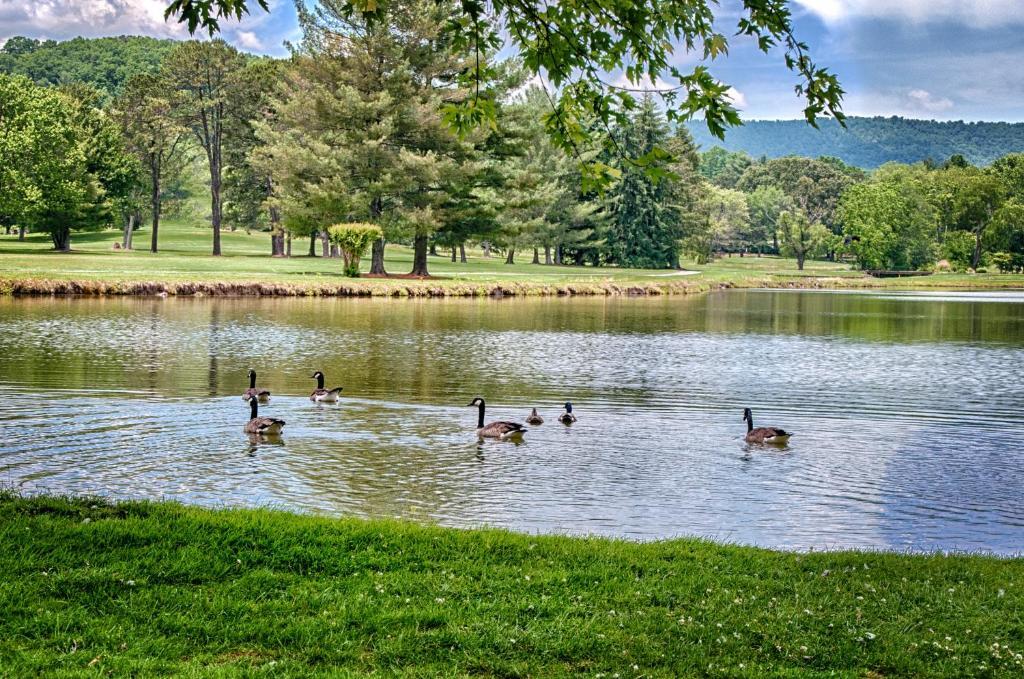 Etowah Valley Golf & Resort Eksteriør bilde